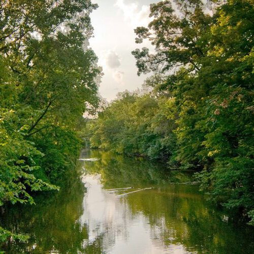 The Red Cedar River