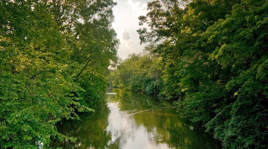 The Red Cedar River