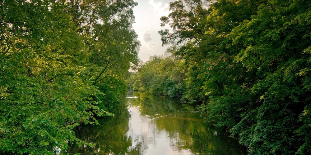 The Red Cedar River