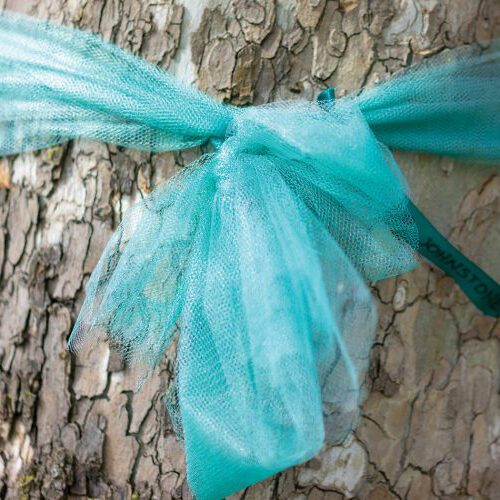 Teal Ribbon on a Tree