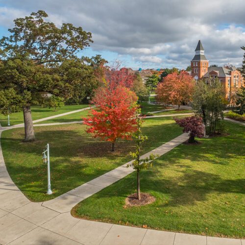 Header of MSU campus in the fall.