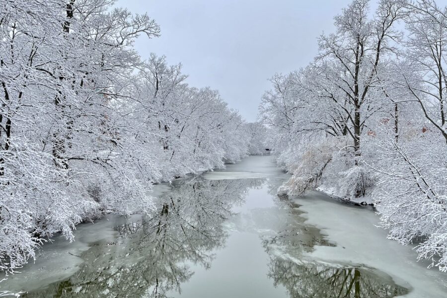 Red Cedar River in Winter, white snow covers the trees on both sides of the river which is beginning to ice over from the banks.