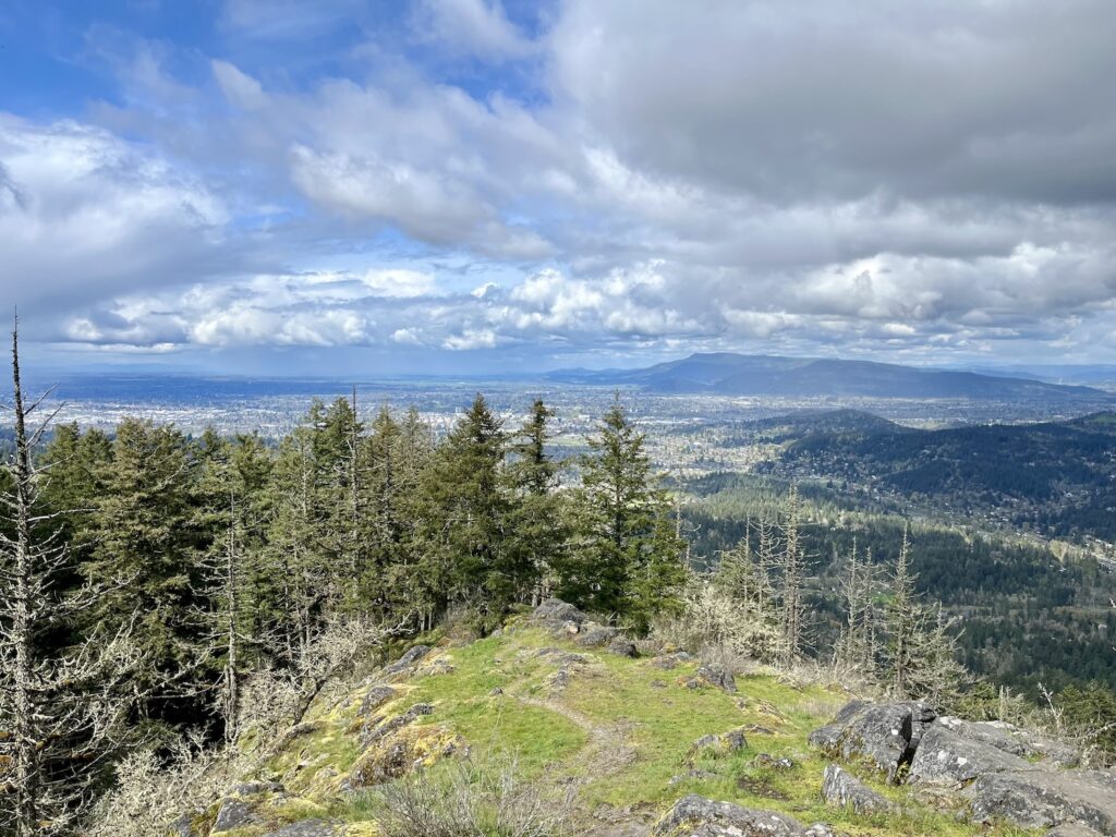 The view from Spencer's Butte above Eugene, Oregon. A grassy pathway leads to a bank of pine trees in the middle distance. Beyond the trees and far below lies Eugene, OR. In the distance are mountains, the blue sky filled with gray and white clouds.