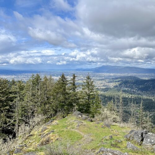 The view from Spencer's Butte above Eugene, Oregon. A grassy pathway leads to a bank of pine trees in the middle distance. Beyond the trees and far below lies Eugene, OR. In the distance are mountains, the blue sky filled with gray and white clouds.