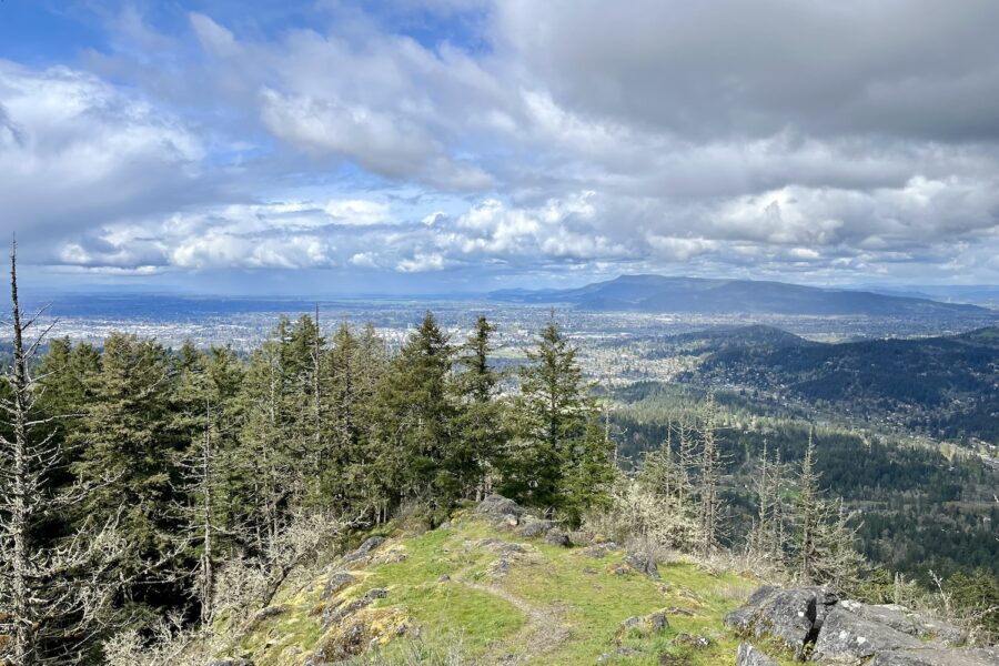 The view from Spencer's Butte above Eugene, Oregon. A grassy pathway leads to a bank of pine trees in the middle distance. Beyond the trees and far below lies Eugene, OR. In the distance are mountains, the blue sky filled with gray and white clouds.