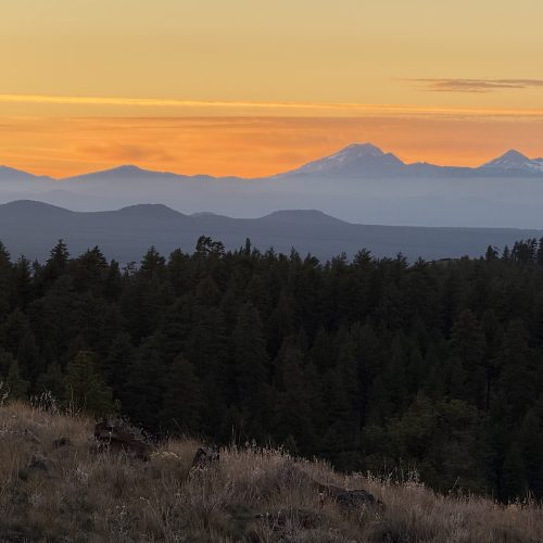 Sunset over the distant snow-capped mountains of Sisters and Mt. Batchelor in Oregon with orange and yellow sky, dark forest in the middle ground, and the dry grassy hillside of Pine Mountain in the foreground.