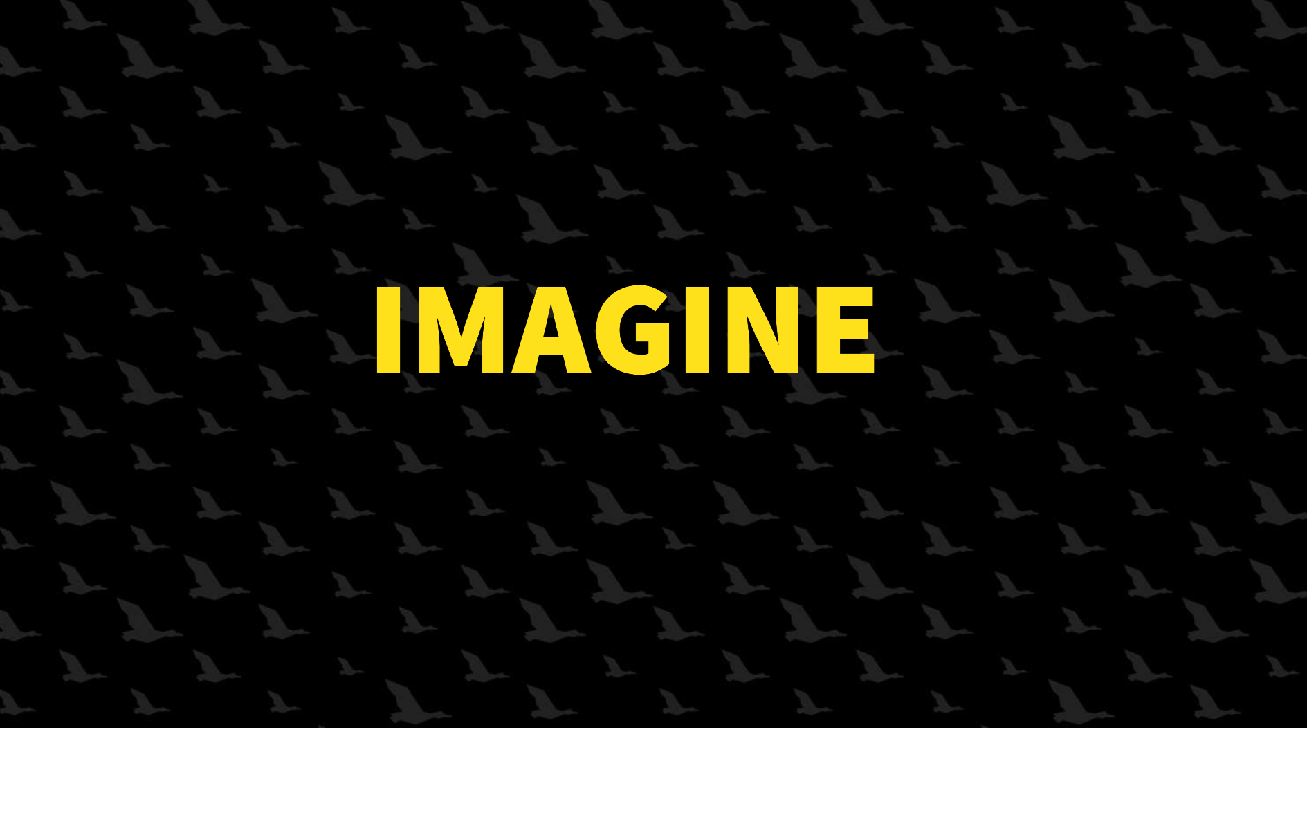 The word ‘Imagine’ in yellow text over a black background patterned with flying ducks.